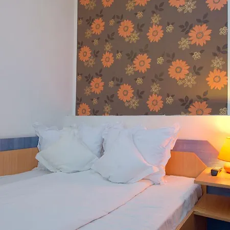 Pensiunea Leo 3* Braşov