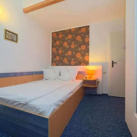 Pensiunea Leo 3* Braşov