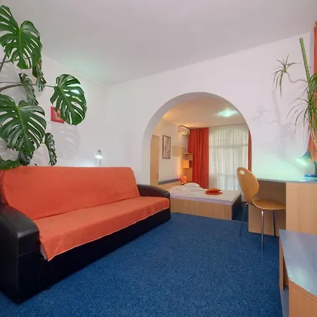 Pensiunea Leo Casa de hóspedes Braşov