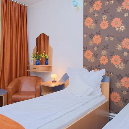 Pensiunea Leo Braşov