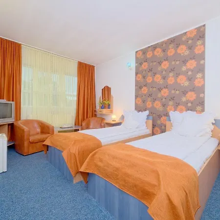 Guest house Pensiunea Leo 3*