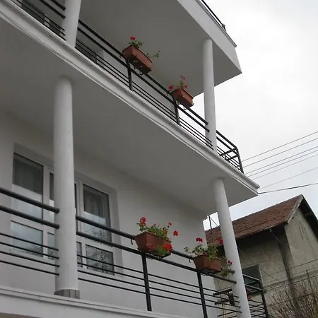 Pensiunea Leo Casa de hóspedes 3*