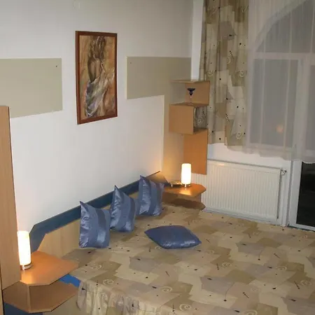 Pensiunea Leo Casa de hóspedes 3*