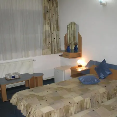 Pensiunea Leo Braşov