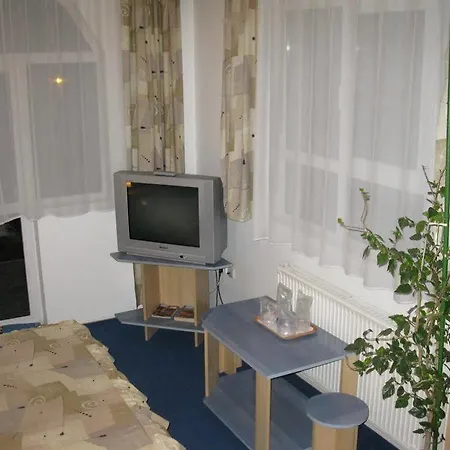 Casa de hóspedes Pensiunea Leo