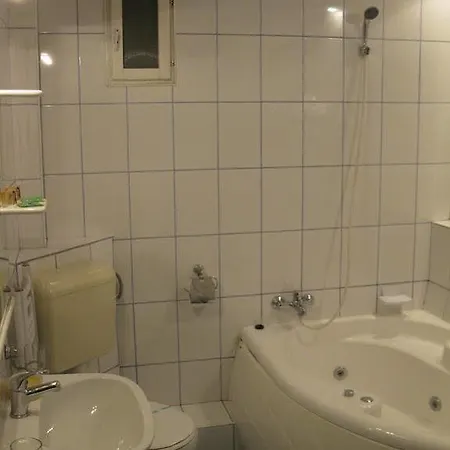 Pensiunea Leo Casa de hóspedes Braşov