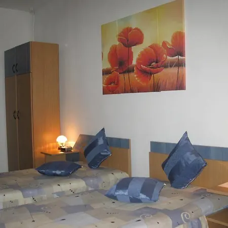 Casa de hóspedes Pensiunea Leo