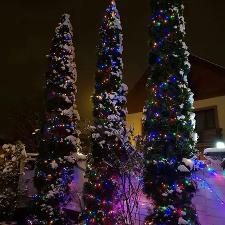 Casa de hóspedes Pensiunea Leo