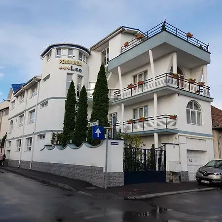 Pensiunea Leo 3* Braşov