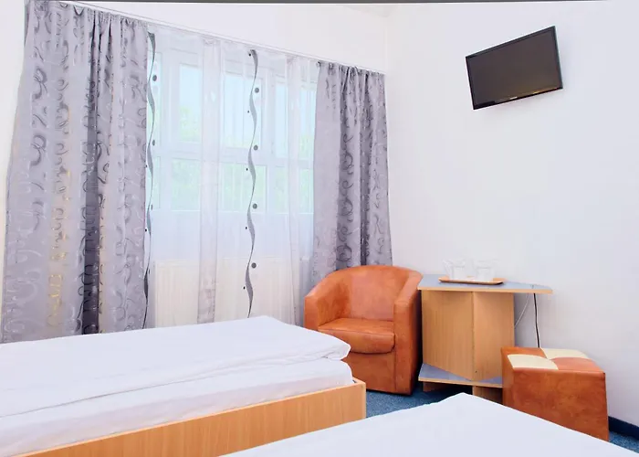 Pensión Pensiunea Leo