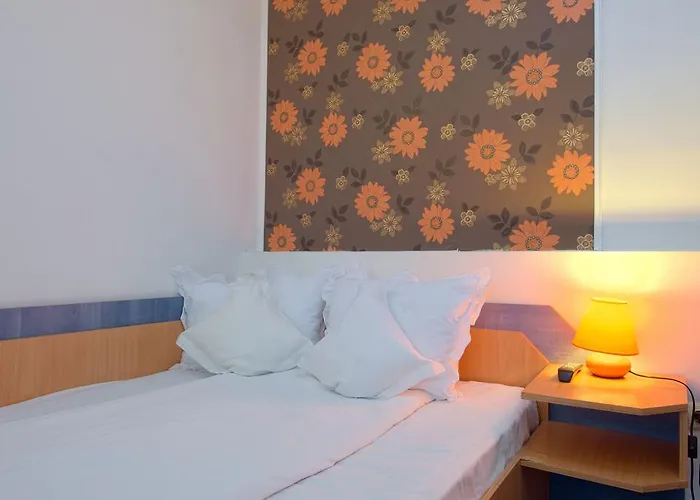 Pensiunea Leo 3* Brașov