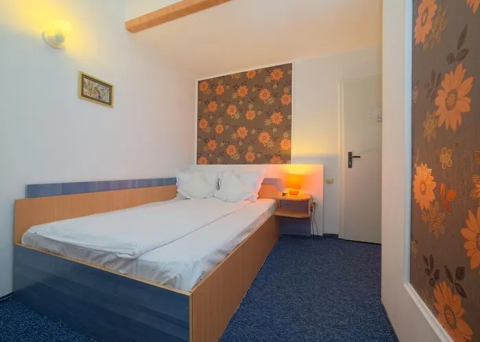 Pensiunea Leo 3* Braşov