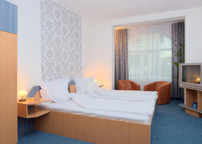 Pensiunea Leo Brașov