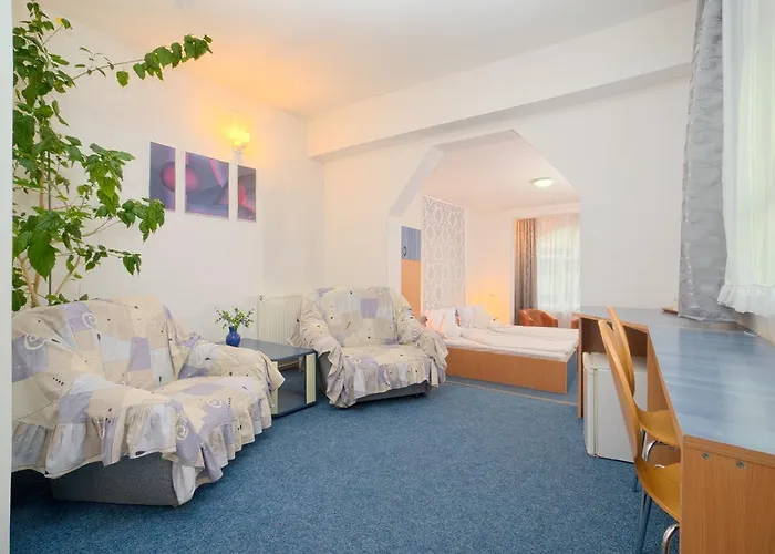 Pensiunea Leo Braşov