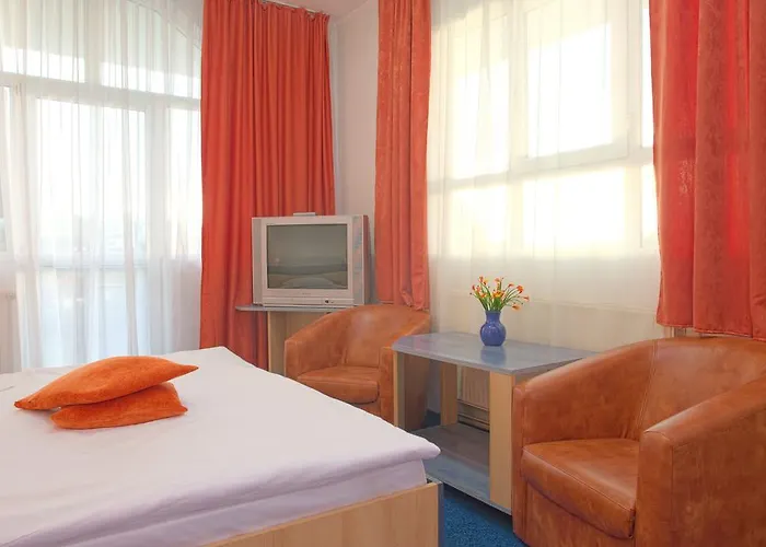 Pensiunea Leo Braşov