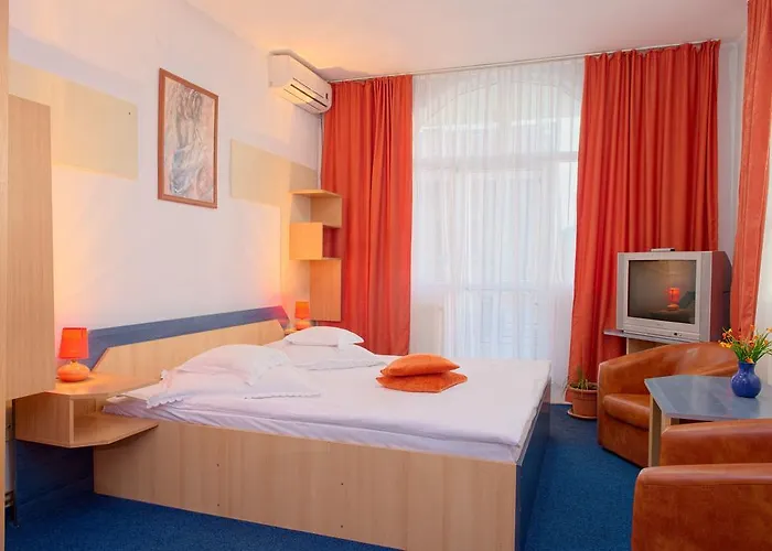 Pensión Pensiunea Leo 3*