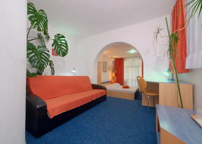 Pensiunea Leo Pensión Braşov