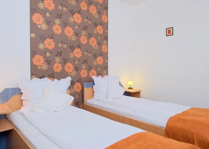 Pensión Pensiunea Leo