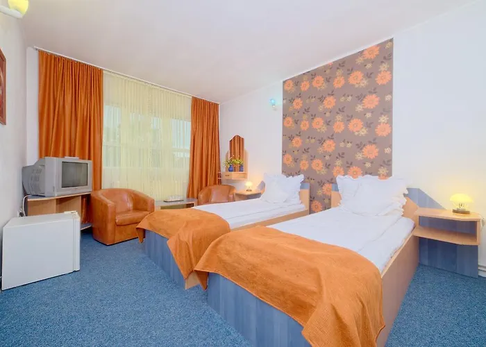 Pensiune Pensiunea Leo 3*