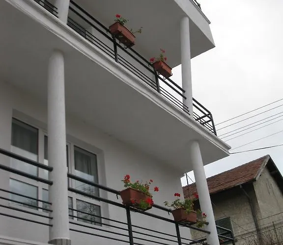 Pensiunea Leo Pensión 3*