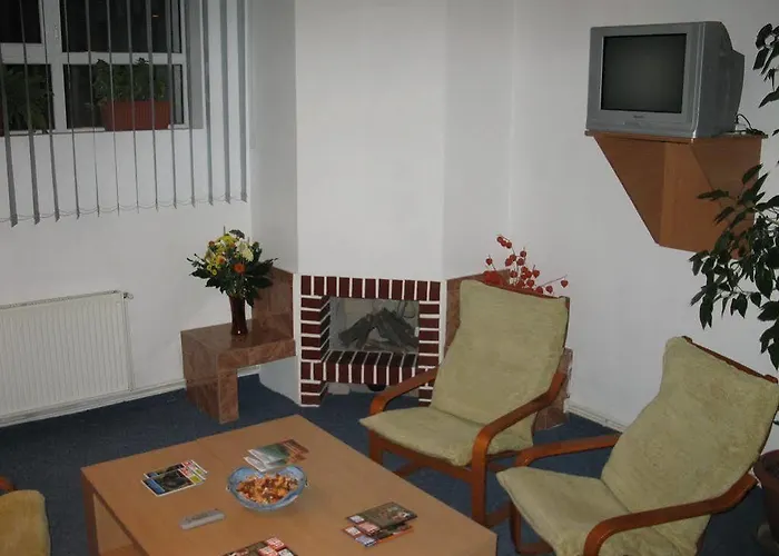 Pensión Pensiunea Leo 3*