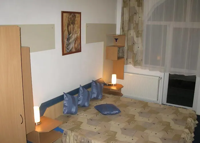 Pensiunea Leo Pensión 3*