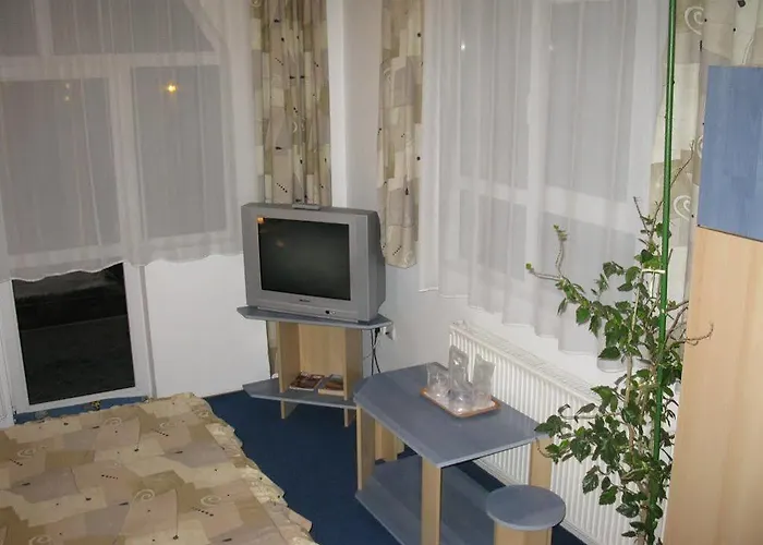 Pensión Pensiunea Leo