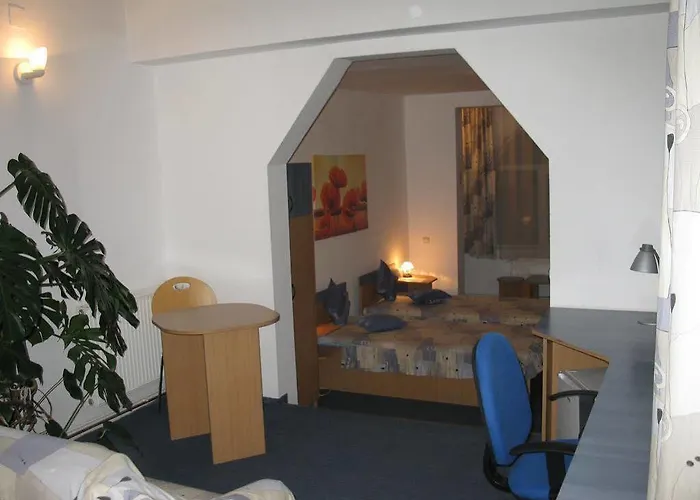 Pensiunea Leo Pensión