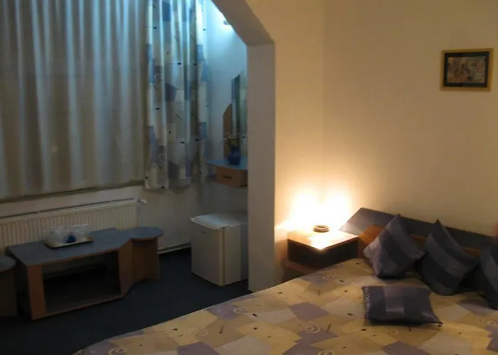 Pensión Pensiunea Leo