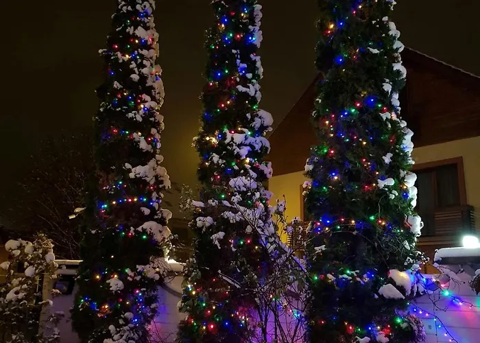 Pensión Pensiunea Leo